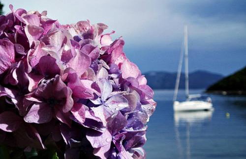 Ivana - Friends & Family ap for 6 guests - Foto 11