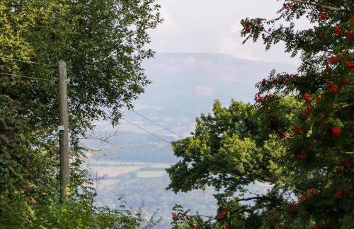 Black Cat Bach - Foto 34