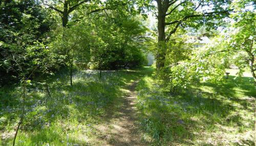 River Cottage a country retreat in wooded gardens - Foto 3