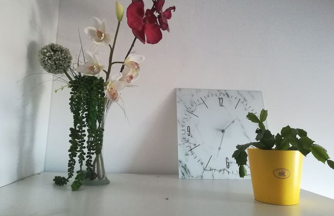 Apartments Patricija - Foto 16