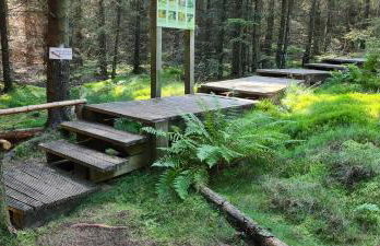 Haus Kellerwald - Ferienwohnung Kellerwald-Edersee - Foto 37