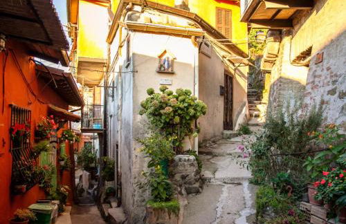 L'Orizzonte - locazione turistica Castelli Romani - Foto 29