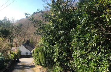 Snowdonia Mawddach escape - Foto 29