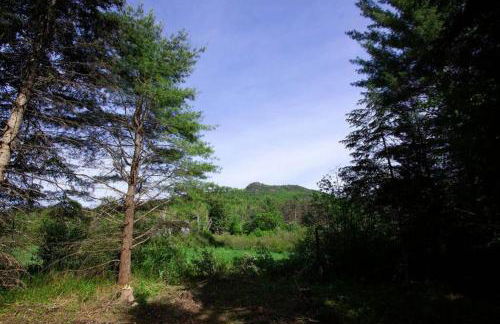 Beaver Brook Chalet - Foto 20