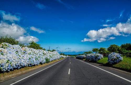 Azor Eco Lodge - Photo 20