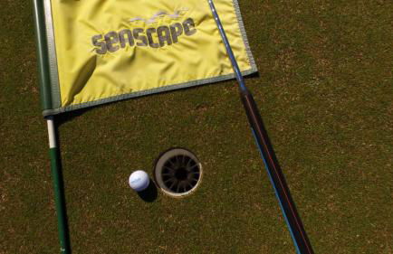 Ariel Dunes 209 - Foto 43