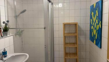 Ferienwohnung Golden Apartment Stilvoll Klar - Foto 4, Shower