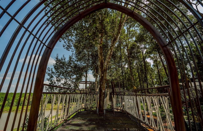 High Tree Resort Co.,Ltd. - Photo 50