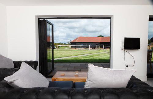 The Old Flower Field - Foto 13