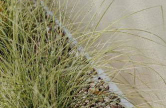 Halfhouse Wieck - Foto 33