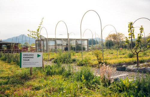 Milea Agritourism - Foto 77