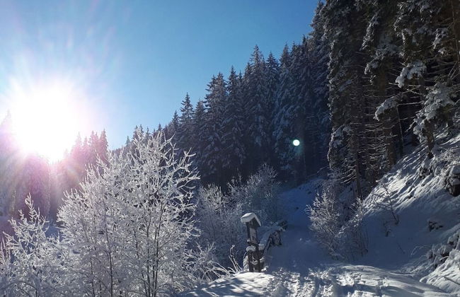 Vogue Apartment in Sankt Margarethen im Lungau Near Ski Lift - Foto 65