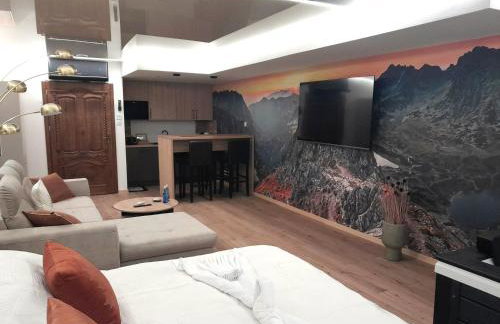 Apartamenty Złote Bory - Foto 7