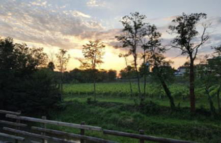 AGRITURISMO Casa Riz - Foto 17