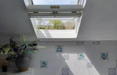 La vie calme - Foto 16