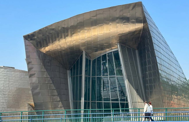 Visite guidée du musée Guggenheim de Bilbao - Foto 5