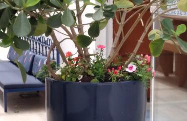 Residencial Marbella - Foto 9