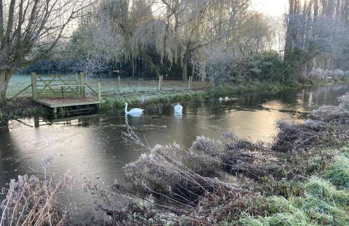 Danielle’s den - Foto 28