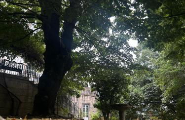 Casa Do Refugio Guest House - Foto 57