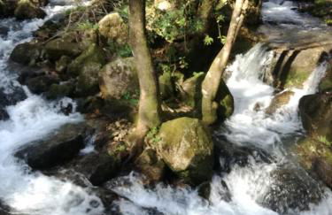 Casa da Costeira - Foto 51