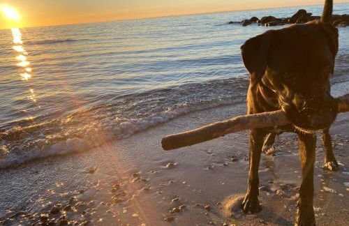 Ostseeferienpark Walkyrien - Lotse 05 - Foto 12