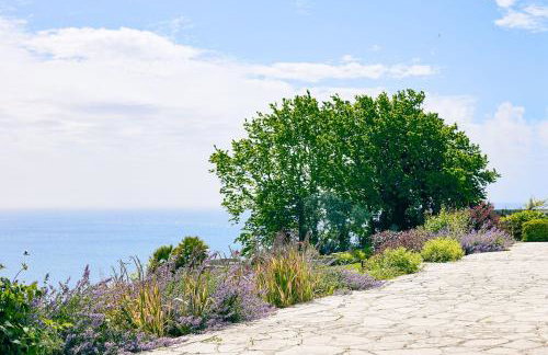 Dorset Castle - Foto 46