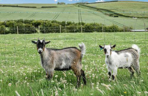 Street House Farm Cottage - Foto 20