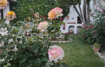 LOS SUEÑOS DE BUENDÍA - Foto 13