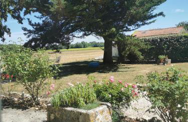 Maison la tour - Photo 68