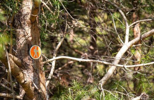 The Cottage at Perkins Hollow - Foto 6