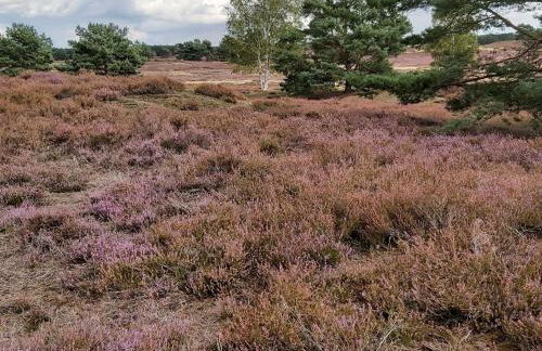 Apartment Wohnung in Jameln mit Garten- Grill und Terrasse by Interhome - Foto 34