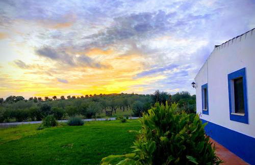 Casa de Campo, Quinta do Funchal - Foto 1