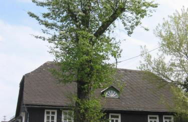 Ferienhaus Mittelstraße - Foto 2