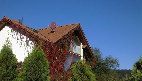 Ferienhaus am Löffelberghüttchen - Foto 4