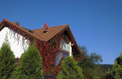 Ferienhaus am Löffelberghüttchen - Foto 4