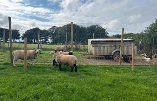 Sandy Cove Cottage - Foto 80