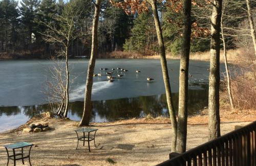 Clear Pond Suite - Photo 64