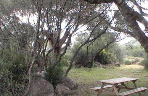 Les bergeries d'Ogliastrello - Foto 2