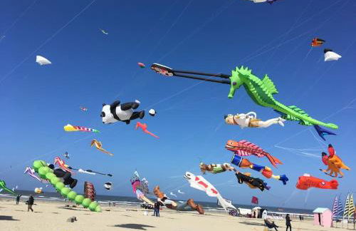 MARIE - Appartement 6 pers avec Balcon Vue latérale mer à Berck - Foto 7