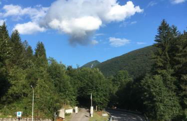 Casa a schiera fronte lago con giardino - Foto 24