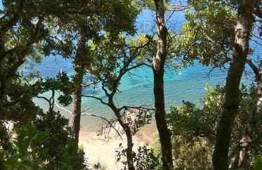 Nirvana Loft - Photo 20