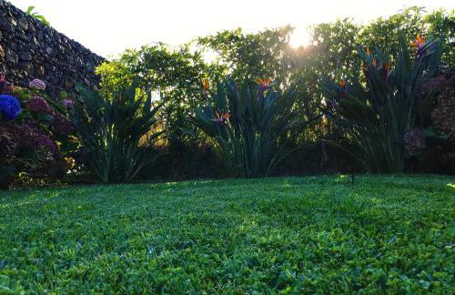 Surf Beach_Santa Barbara Secret Gardens - Photo 26