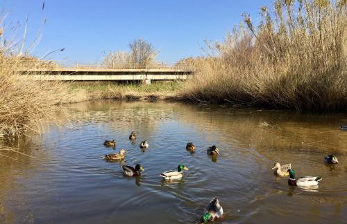 Apartamento ideal para relajarse y disfrutar - Photo 27