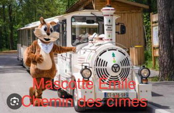 Grand appartement au cœur de la région alsacienne - Photo 66