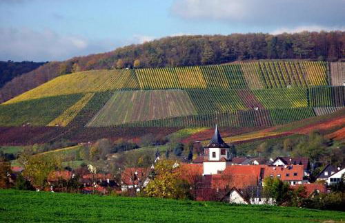 Landpension Wachtkopf - Foto 32