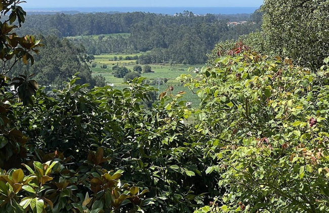 Cottage Sleeps 12 with Pool and Parking - Foto 28