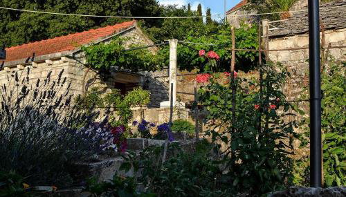 Mario (RADE) - Foto 3