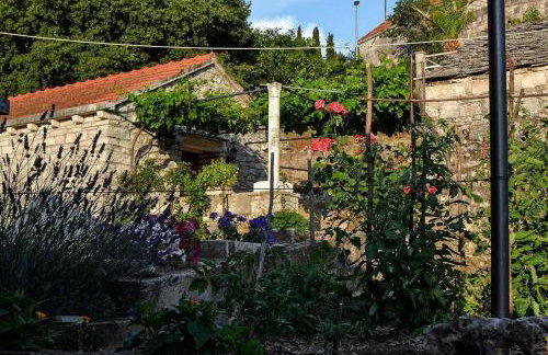 Mario (RADE) - Foto 3