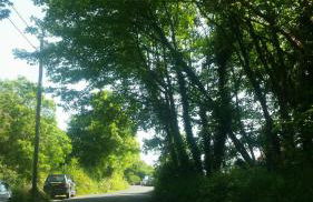 Seasidesteps - Photo 20