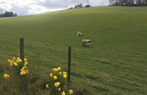 Detached Cosy Cottage in Wooler, Northumberland - Photo 19